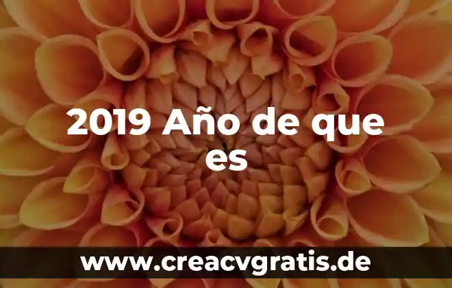 Qué es EO ANO y para qué sirve 4 2019 Año de que es