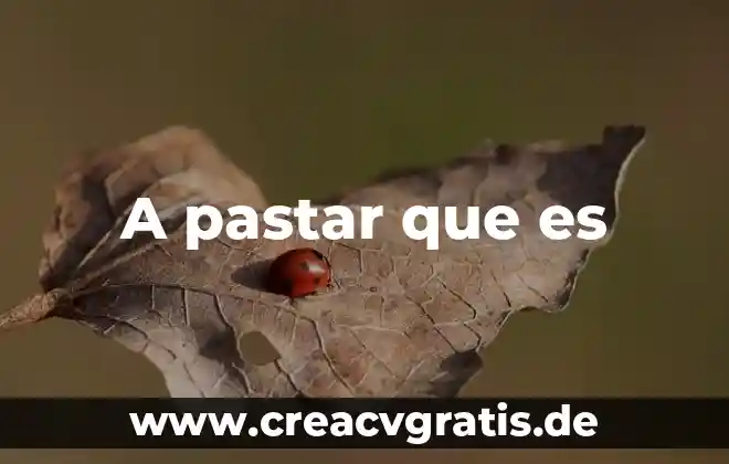 Qué es el sol y por qué 3 A pastar que es