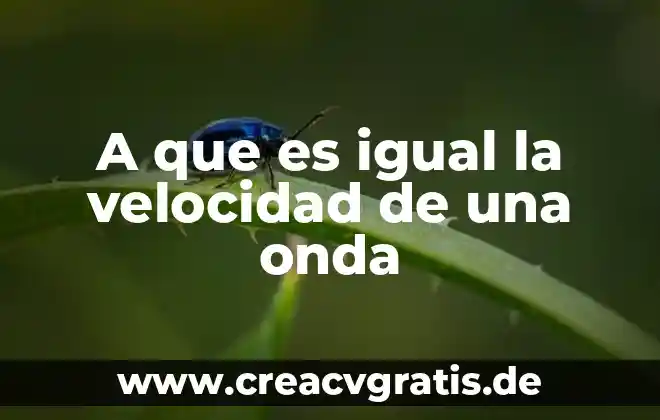 Que es velocidad y sus tipos en fisica 7 A que es igual la velocidad de una onda