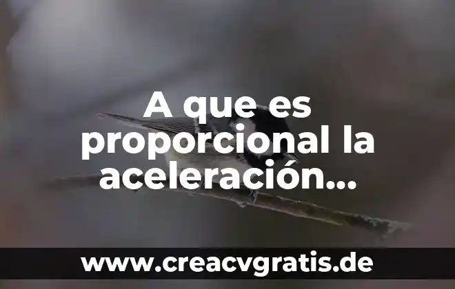 Representación proporcional puntos de por qué es mejor 6 A que es proporcional la aceleración angular