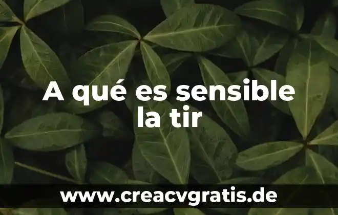 Qué es países desarrollados 6 A qué es sensible la tir