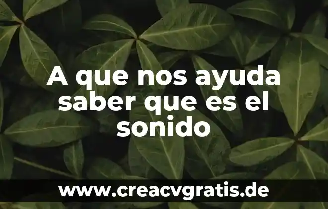 Que es publicidad y para que nos ayuda 3 A que nos ayuda saber que es el sonido