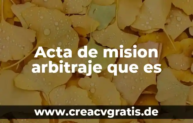 Visión misión que es 6 Acta de mision arbitraje que es