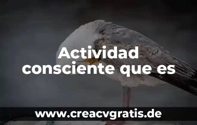 Que es el nombre de una actividad 4 Actividad consciente que es