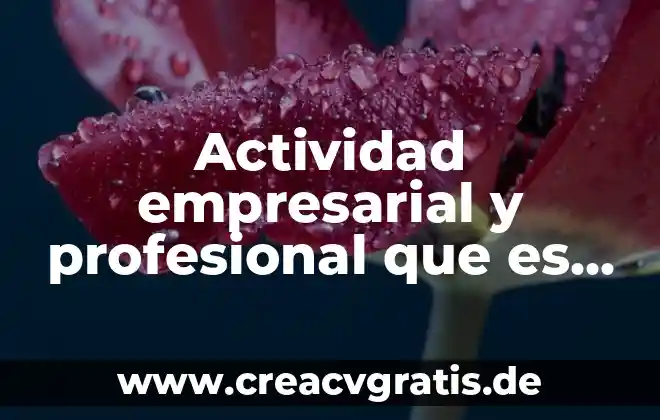 Información de que es un mensaje explícito 3 Actividad empresarial y profesional que es deducible