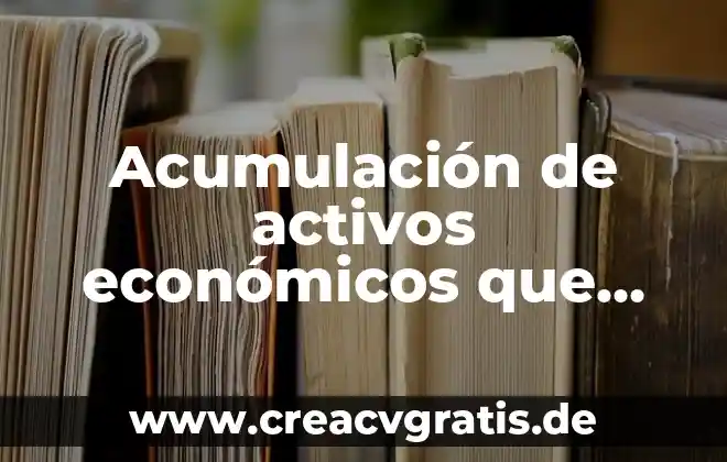 Que es elementos economicos 8 Acumulación de activos económicos que es
