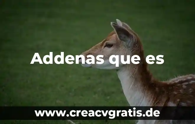 To he information que es en español latino 6 Addenas que es