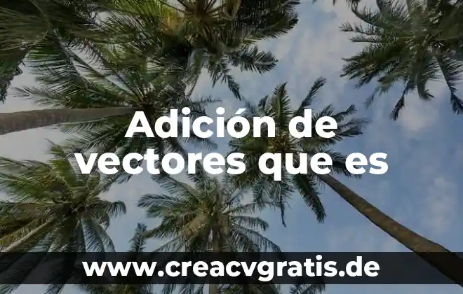 Que es el producto cruz de vectores 4 Adición de vectores que es