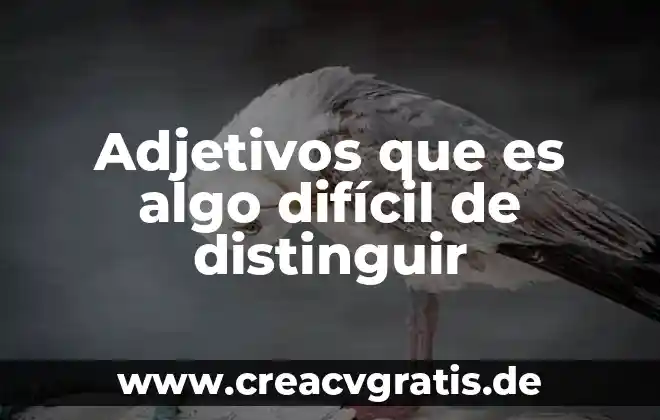 Qué es el adjetivo y tipos de adjetivos 6 Adjetivos que es algo difícil de distinguir