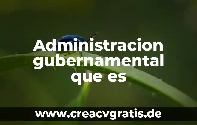 Qué es un programa gubernamental significa 6 Administracion gubernamental que es