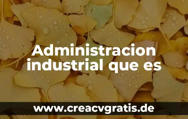 Qué es el balance socored command en administración 5 Administracion industrial que es