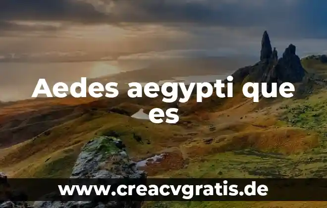 Qué es inquirir en la Biblia 7 Aedes aegypti que es