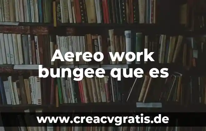Qué es un mode work en computación 4 Aereo work bungee que es