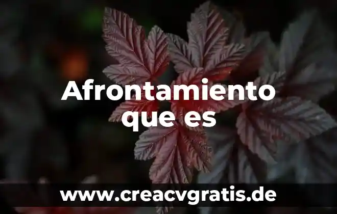 Que es y que implica una representación grafica 7 Afrontamiento que es