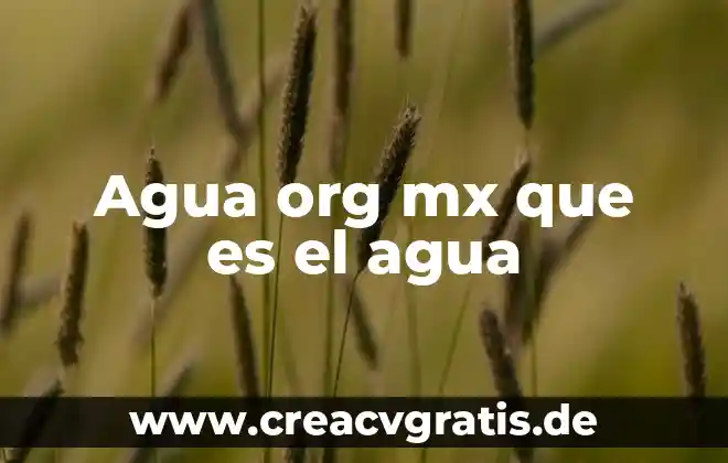 Que es 300 cc de agua 6 Agua org mx que es el agua