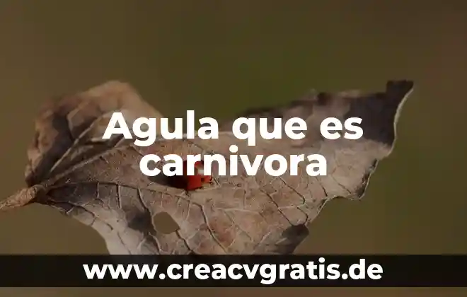 Que es y que implica una representación grafica 5 Agula que es carnivora
