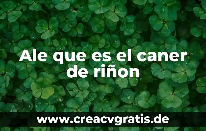 Que es la miroextraccion en fase solida 6 Ale que es el caner de riñon