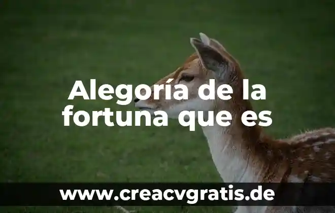 Qué es un animator unity 4 Alegoría de la fortuna que es