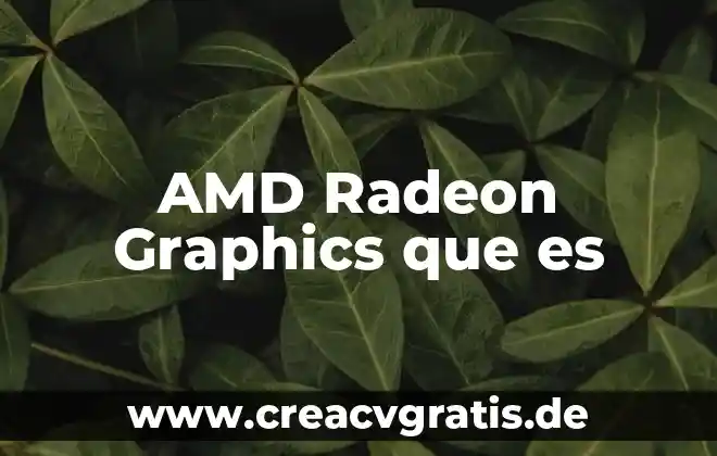 AMD Radeon qué es 3 AMD Radeon Graphics que es