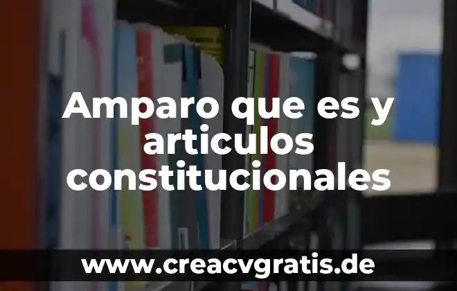 Que es el término de depuracion en un amparo 6 Amparo que es y articulos constitucionales