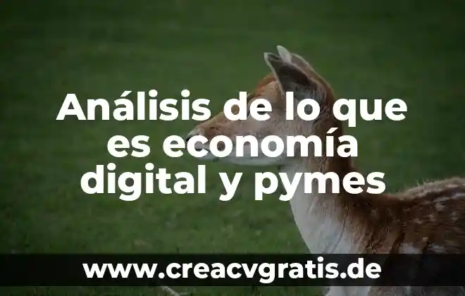 Libros que es gasto en economía 5 Análisis de lo que es economía digital y pymes