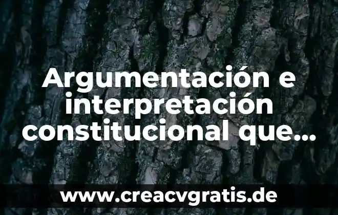 Qué es representación e interpretación de datos matemáticos 6 Argumentación e interpretación constitucional que es y para que sirve