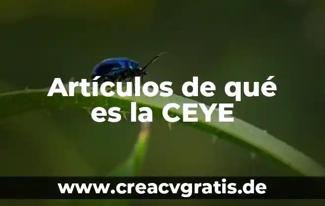 Qué es un signo coma 4 Artículos de qué es la CEYE