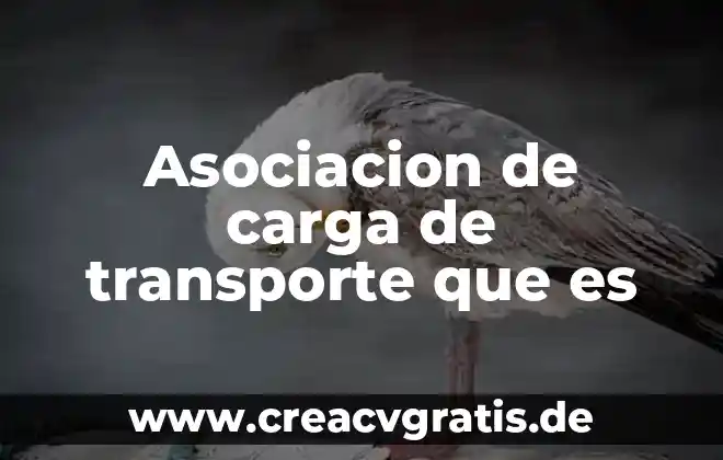 Que es una carga concentrada o puntual 7 Asociacion de carga de transporte que es