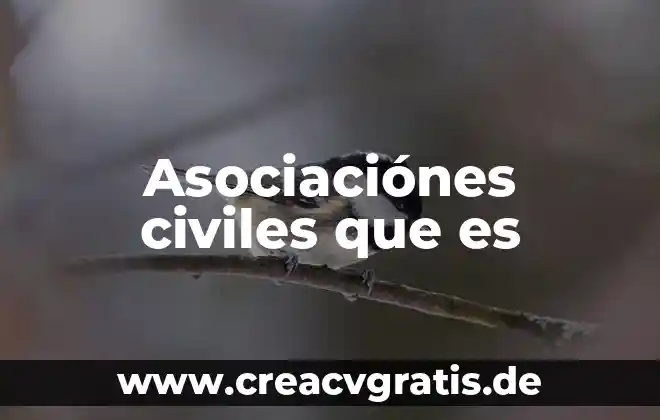 Qué es una organizaciones civiles poblanas 3 Asociaciónes civiles que es