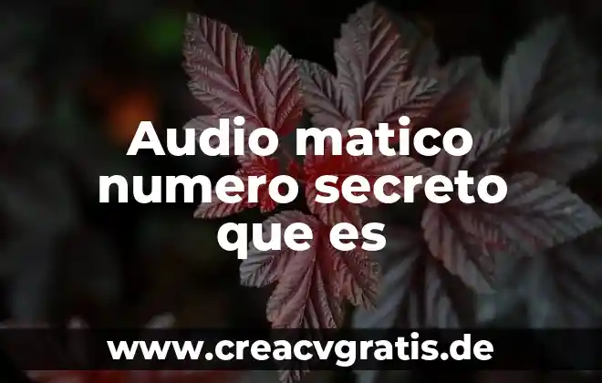 Secreto profesional por que es importante 6 Audio matico numero secreto que es