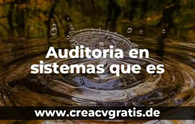 Que es la recopilacion de datos en sistemas de informacion 3 Auditoria en sistemas que es
