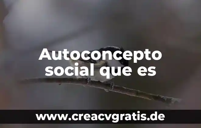Que es planificacion economica y promocion social 7 Autoconcepto social que es