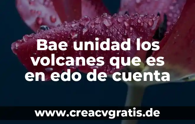 Salario por unidad de tiempo que es 6 Bae unidad los volcanes que es en edo de cuenta