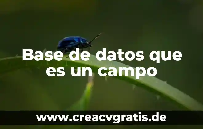Qué es realidad en base de datos 8 Base de datos que es un campo