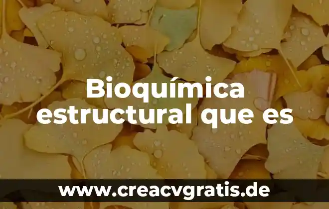 Qué es un cableado estructural 4 Bioquímica estructural que es