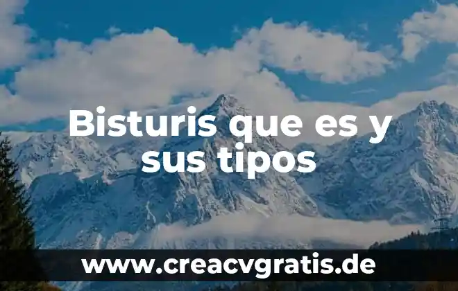 Que es una funcion en excel y tipos 5 Bisturis que es y sus tipos