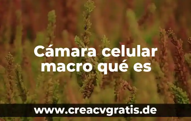 Que es talk en el celular 8 Cámara celular macro qué es
