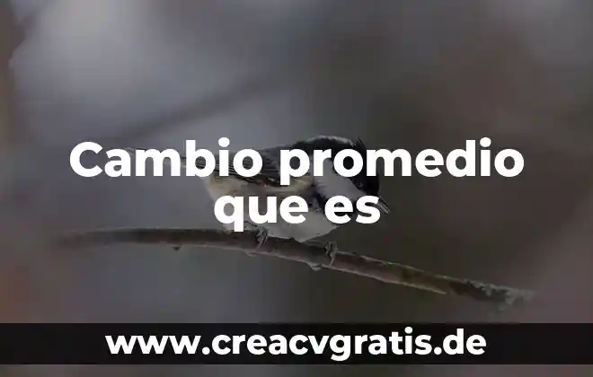 Que es el cambio infraestructural 7 Cambio promedio que es
