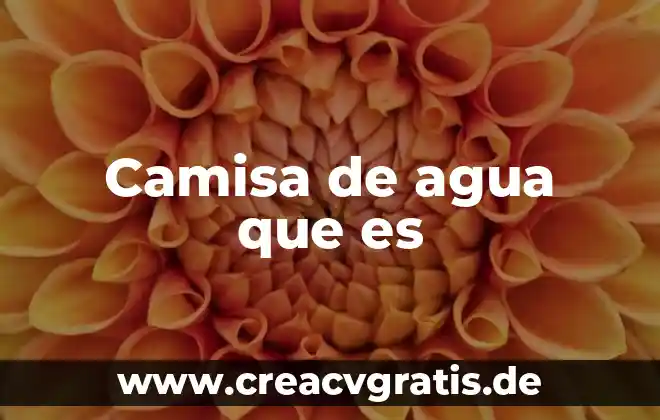 Qué es un cabezal de agua 3 Camisa de agua que es