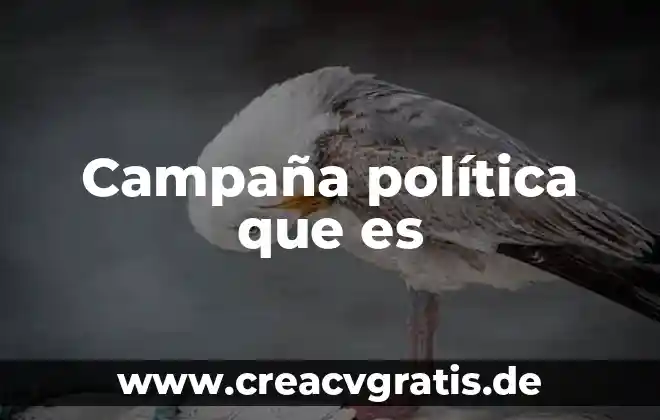Que es una campaña de publicidad para promocionar 3 Campaña política que es
