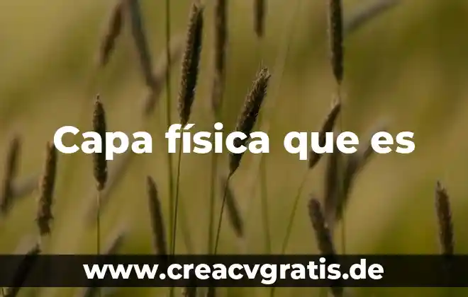 Que es una capa en diseño 4 Capa física que es