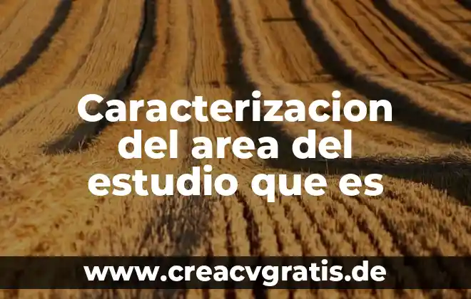 Ara que es el estudio psa en los hombres 5 Caracterizacion del area del estudio que es
