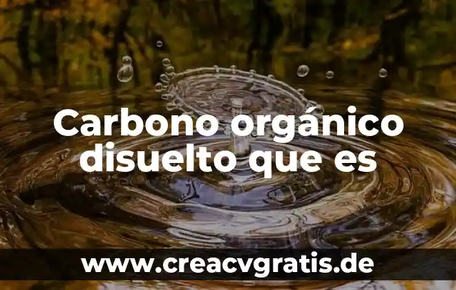 Qué es el flux organico 3 Carbono orgánico disuelto que es