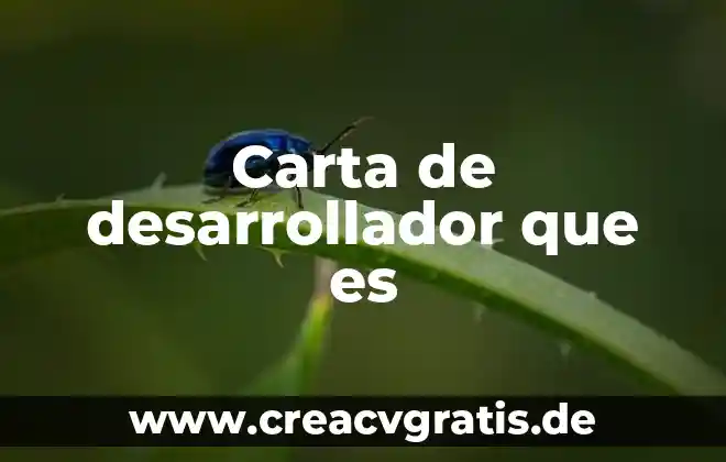 Que es una carta de distribucion de trabajo 7 Carta de desarrollador que es