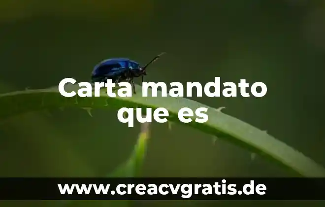 Que es una carta de distribucion de trabajo 3 Carta mandato que es
