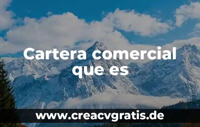 Que es es proveedor comercial 6 Cartera comercial que es