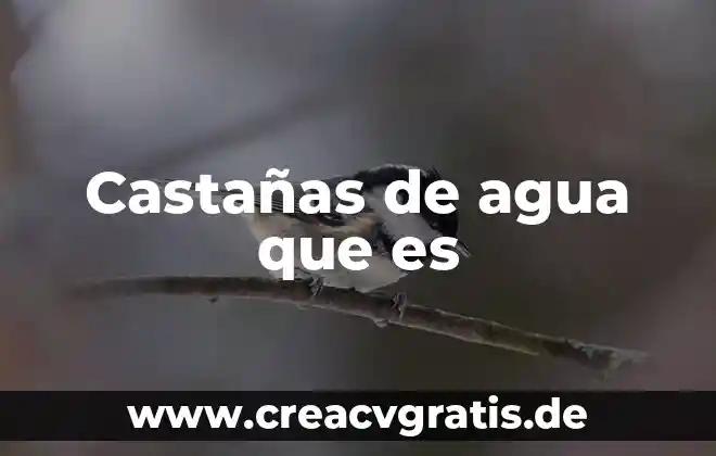 Que es sobreexplotación del agua 5 Castañas de agua que es