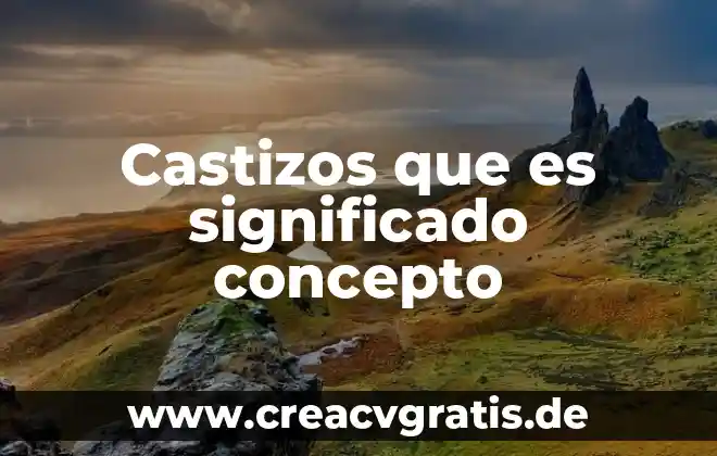 Qué es el significado de socaire 5 Castizos que es significado concepto