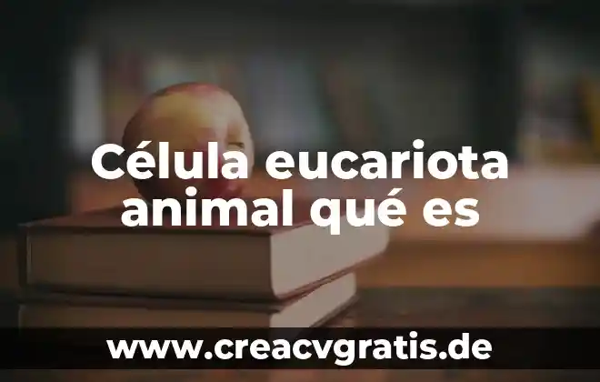 Investigar que es la célula eucariota 4 Célula eucariota animal qué es