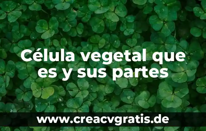 Reino animal vegetal que es 4 Célula vegetal que es y sus partes